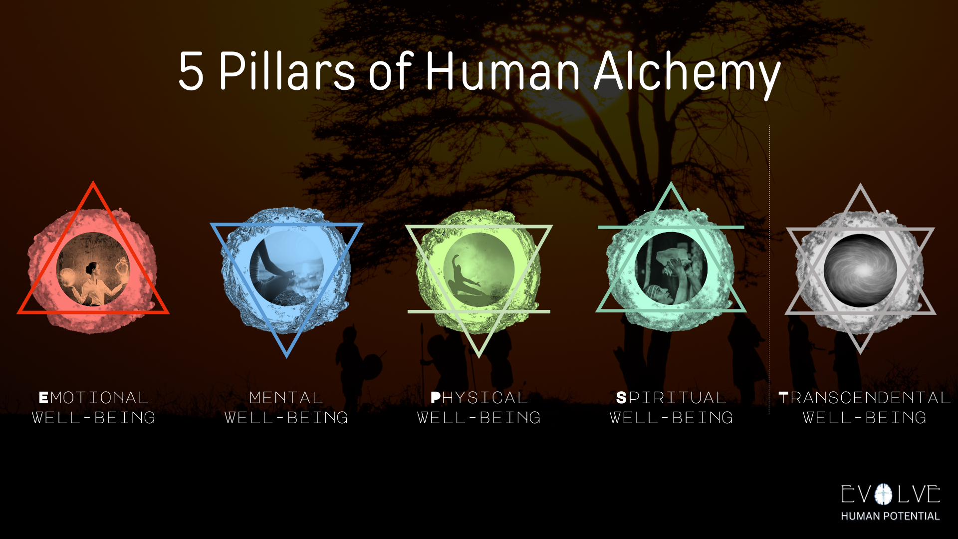 5 pillars of human alchemy 5 pillars of human alchemy