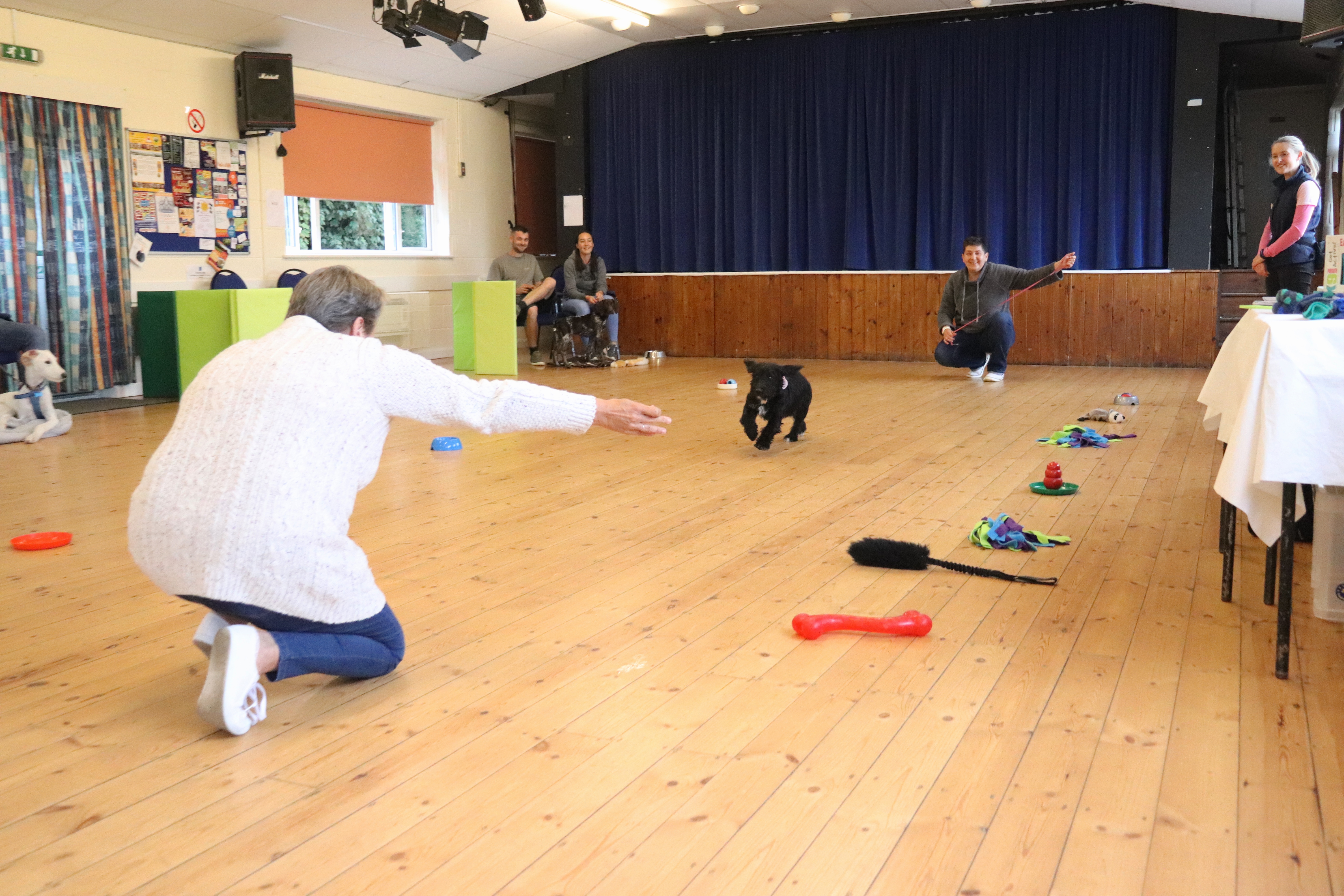 Puppy Classes