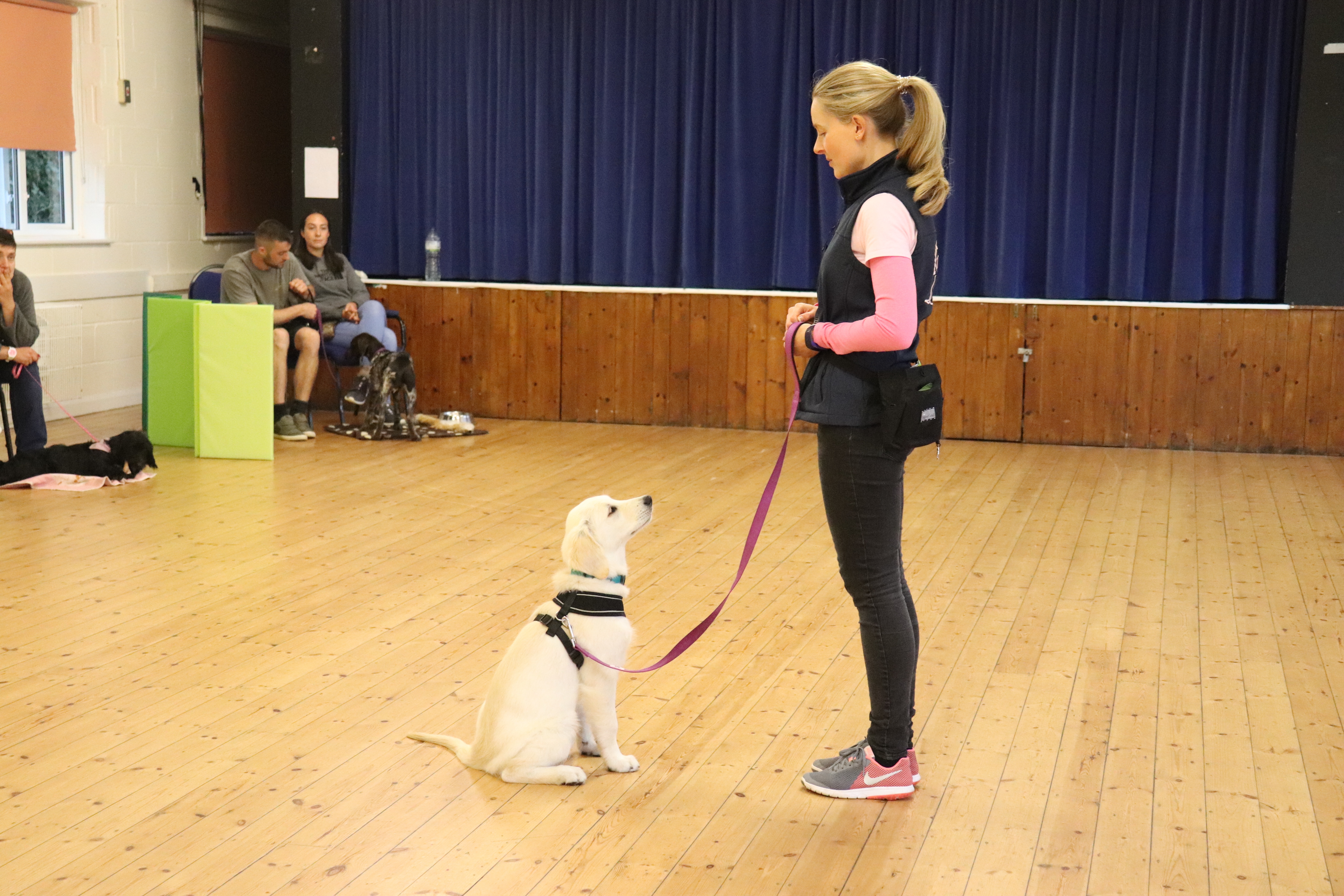 Puppy Classes