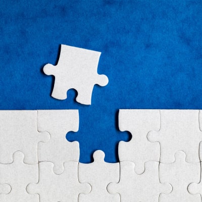 SEO-Optimized Web Copy