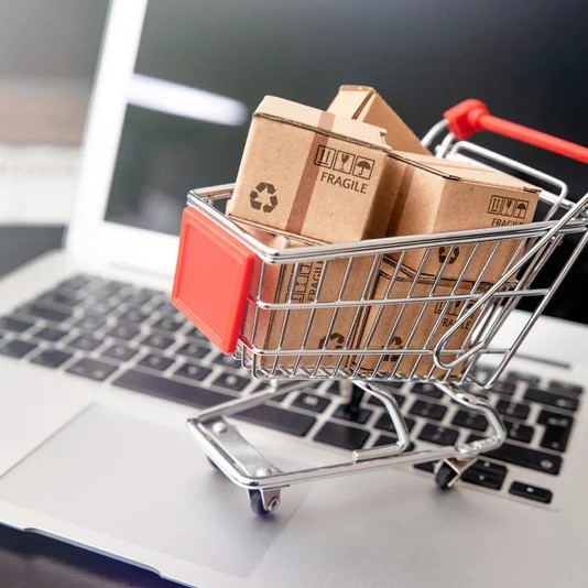 SEO-Optimized Web Copy