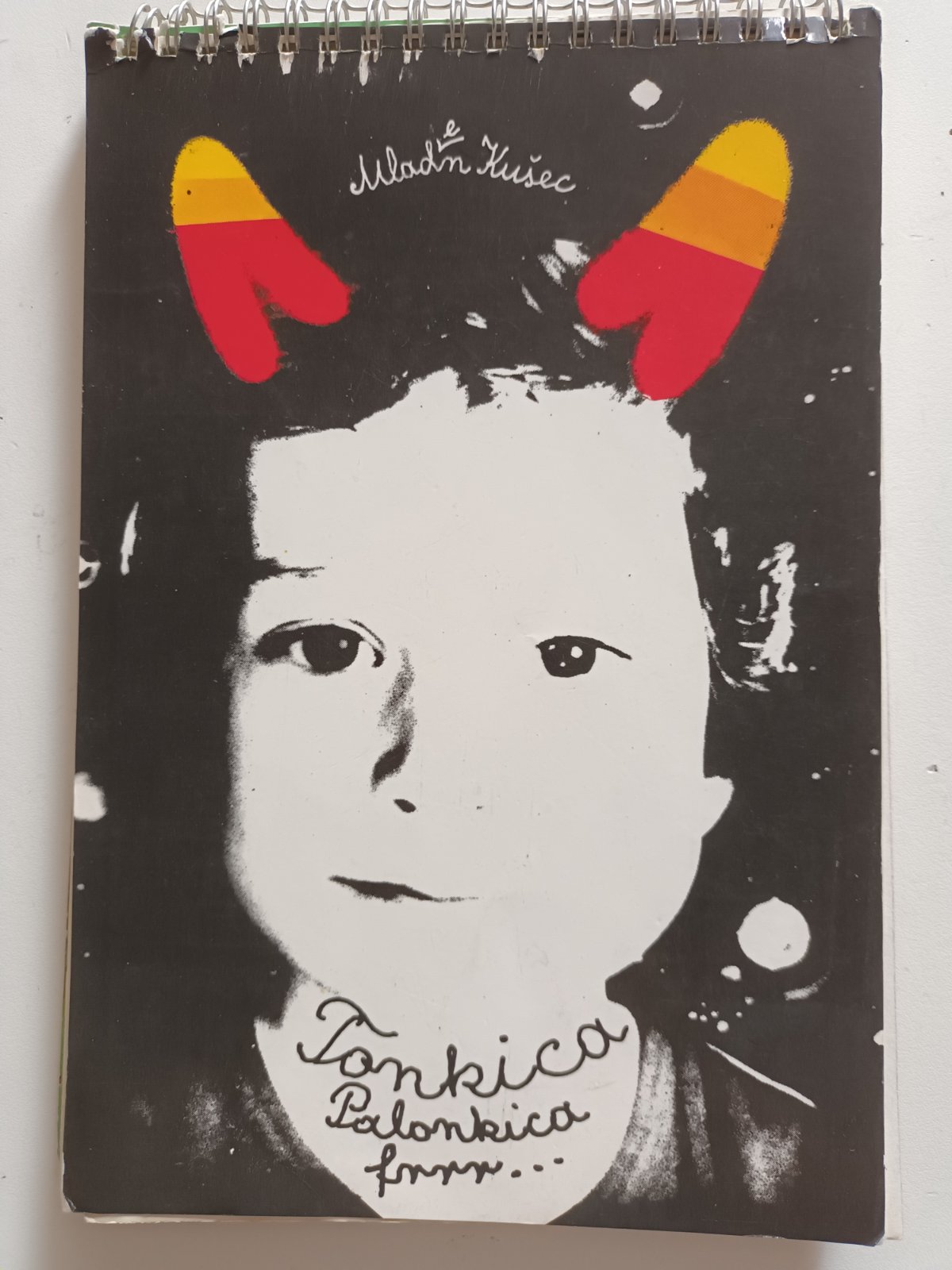 Cover of Mladen Kušec's book Tonkica Palonkica Frrrrrrr, a beloved Croatian children's story that introduces basic Croatian vocabulary through playful adventures and fun, engaging language.
