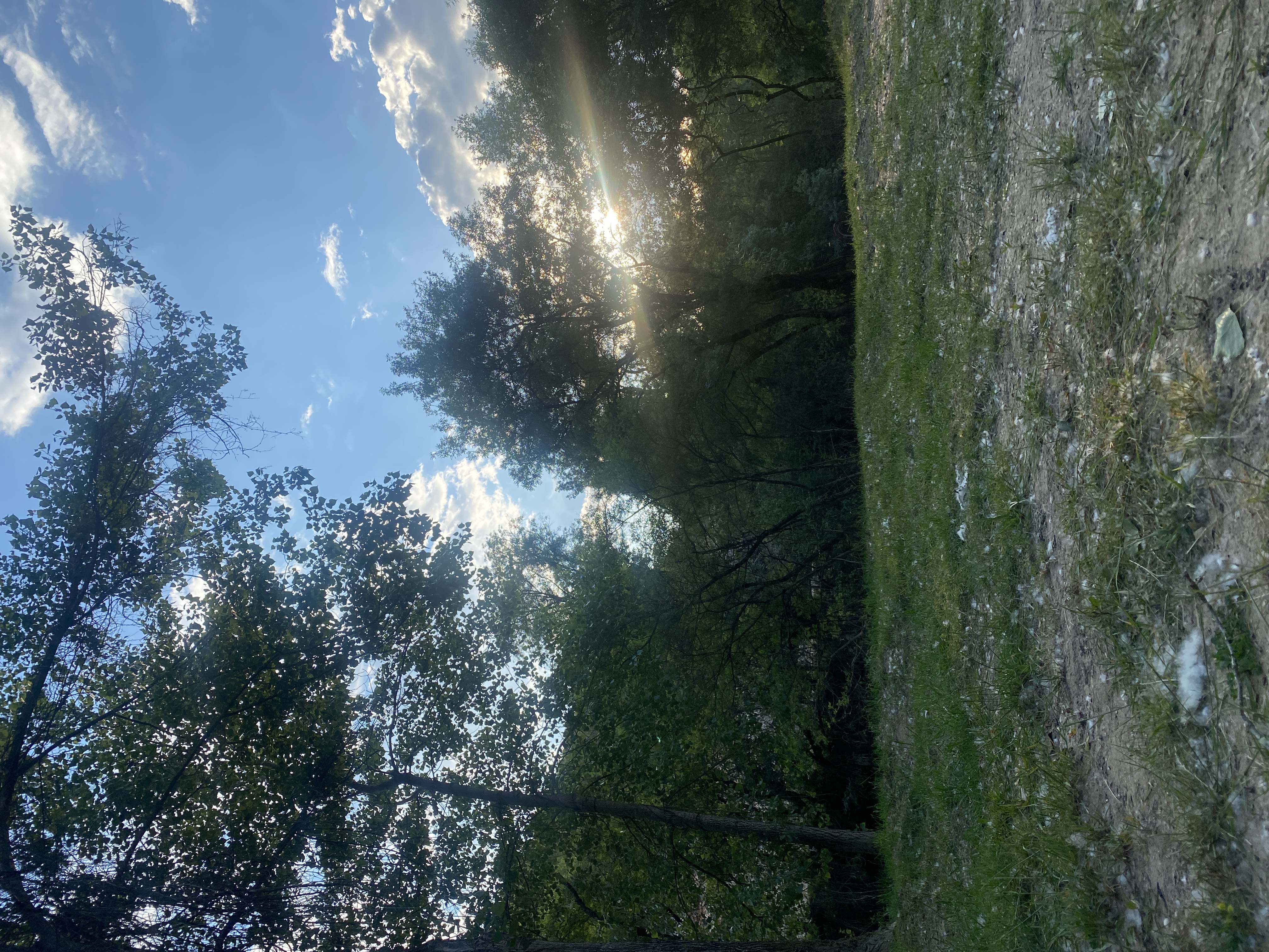 Sonnenuntergang
