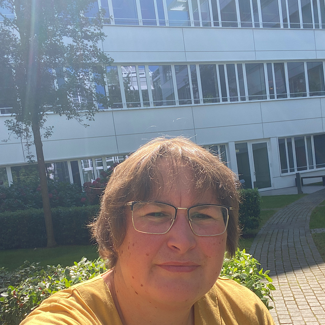 Mittagspause in der Sonne