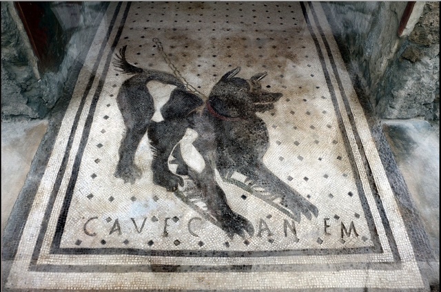 Image Of The Black Dog Image Of The Black Dog