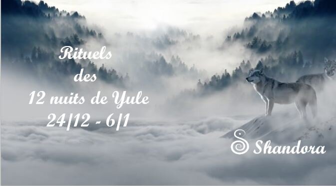 SHANDORA.LIFE SHANDORA.LIFE