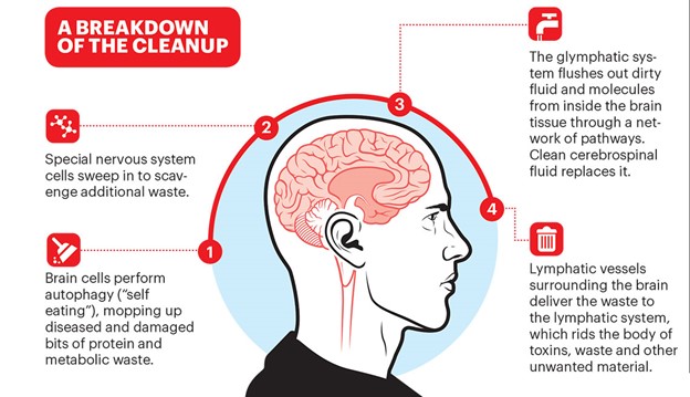 Breakdown of the cleanup