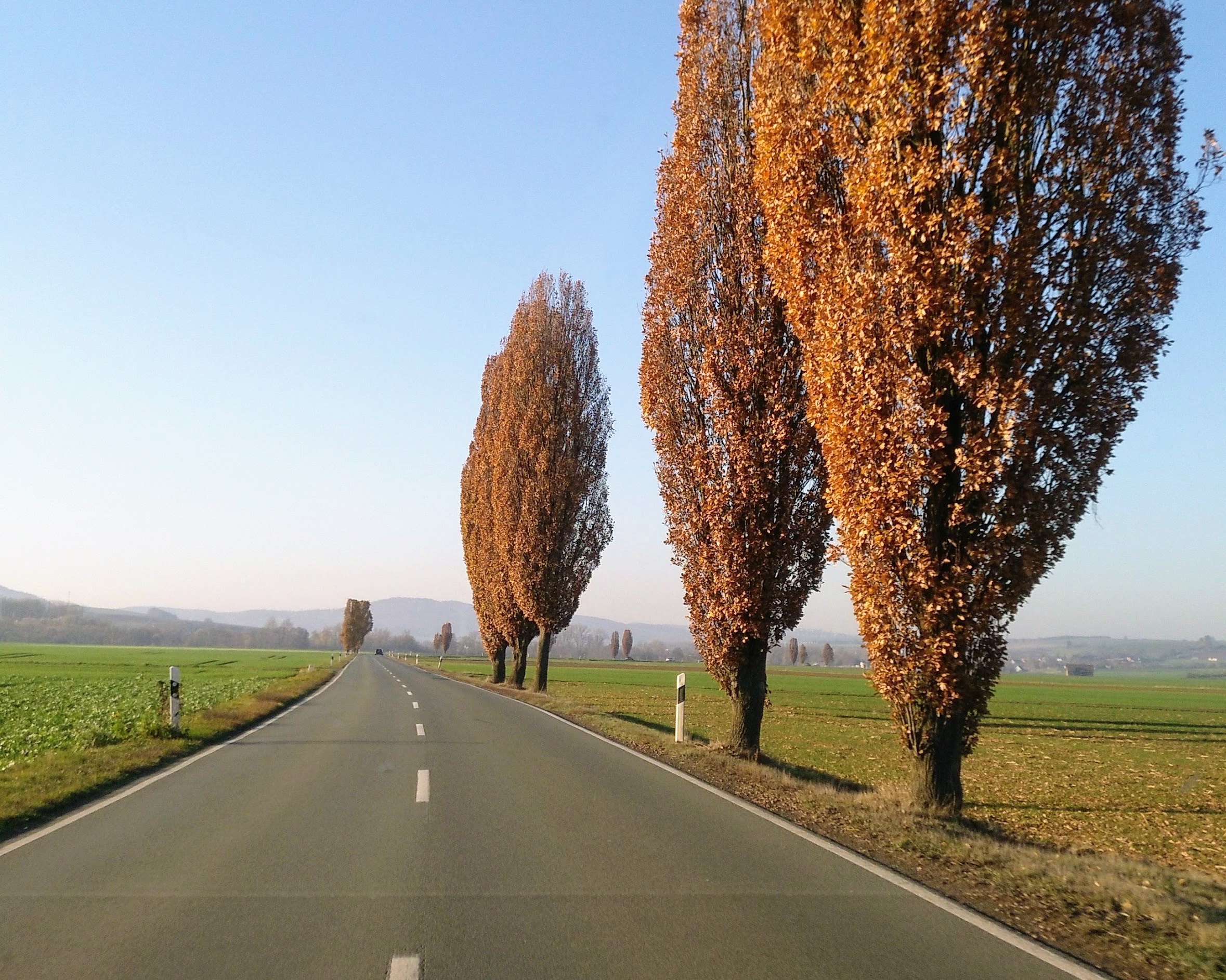 auf Landstraße mit dem Auto fahren
