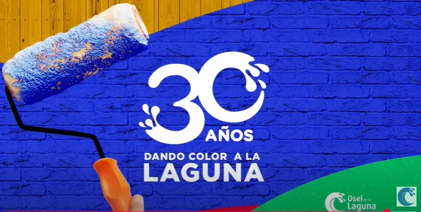 Video 30 años