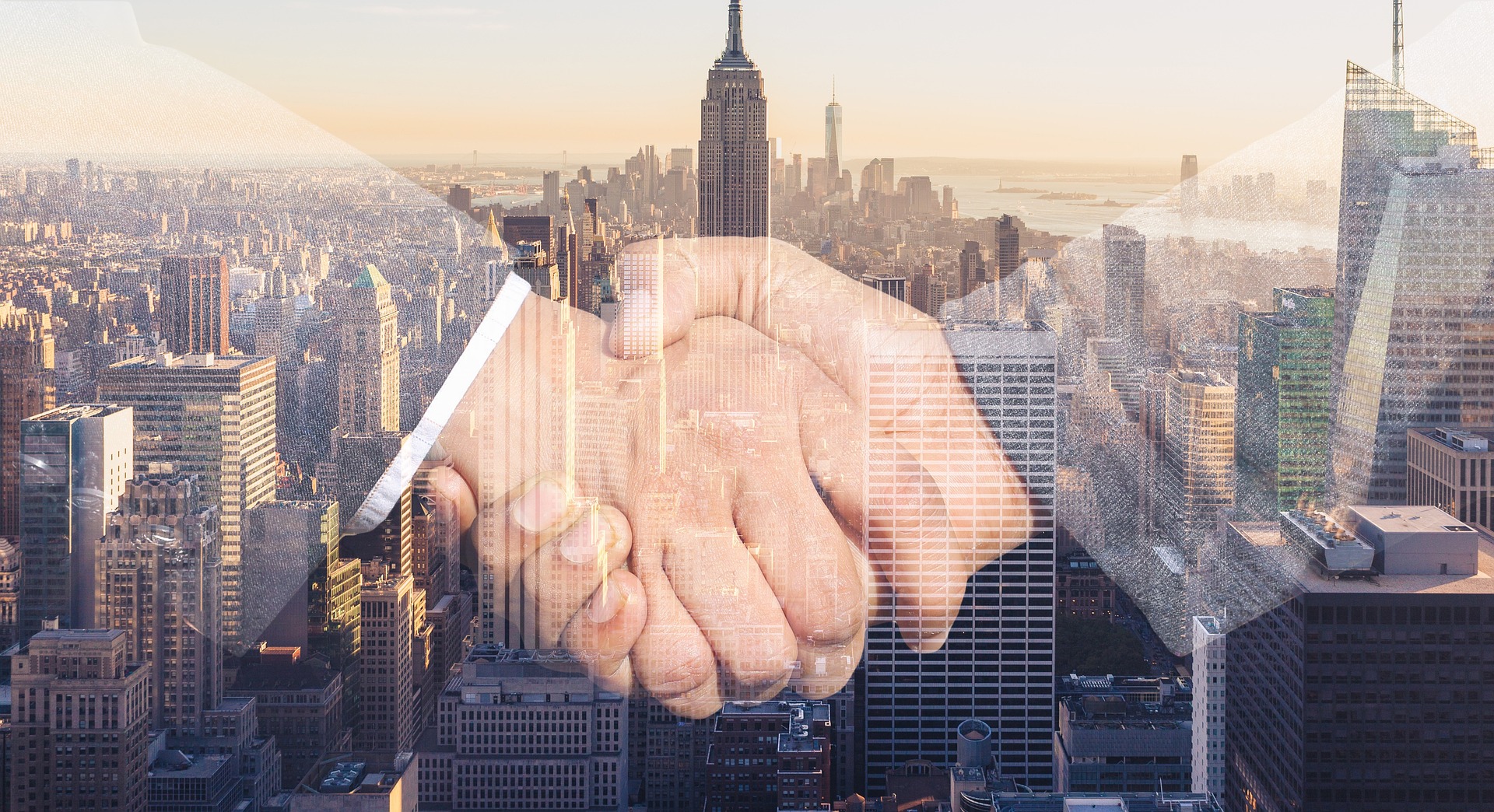 Collaborate With an Expert on Business Valuations That Are IRS and Court Appropriate