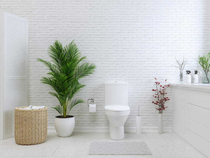 Toilet Repair Sheffield