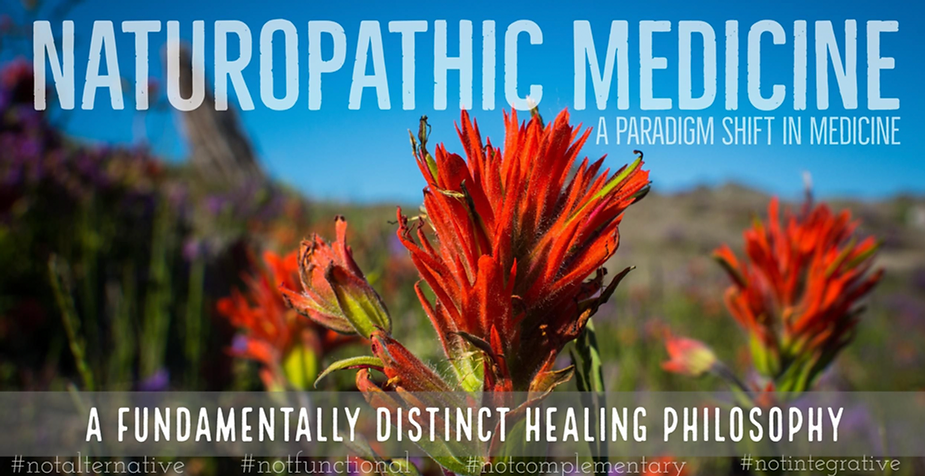 flowering plant with words "naturopathic medicine, a paradigm shift in medicine. a fundamentally distinct healing philosophy"