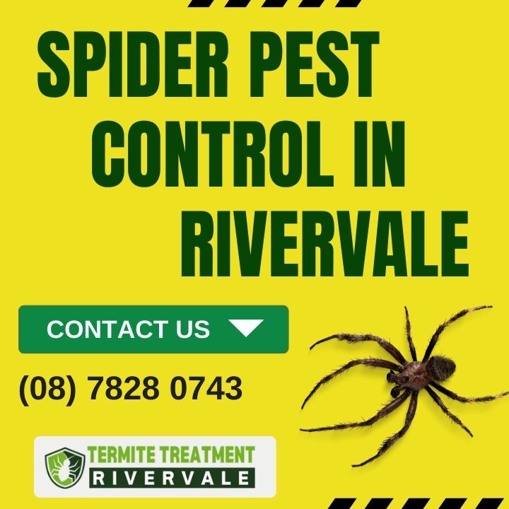 Eliminate spider infestations with our specialized pest control services in Rivervale. Trust our experienced team for safe and effective results.