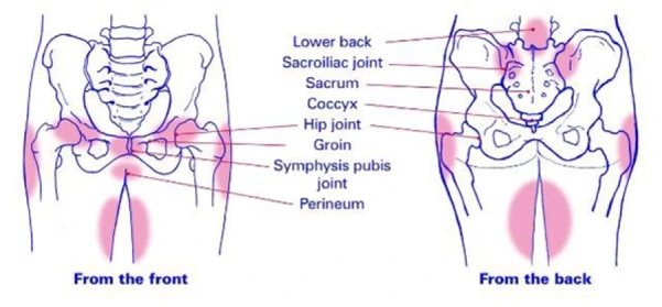 PPGP is described as any pain in this pelvic ring