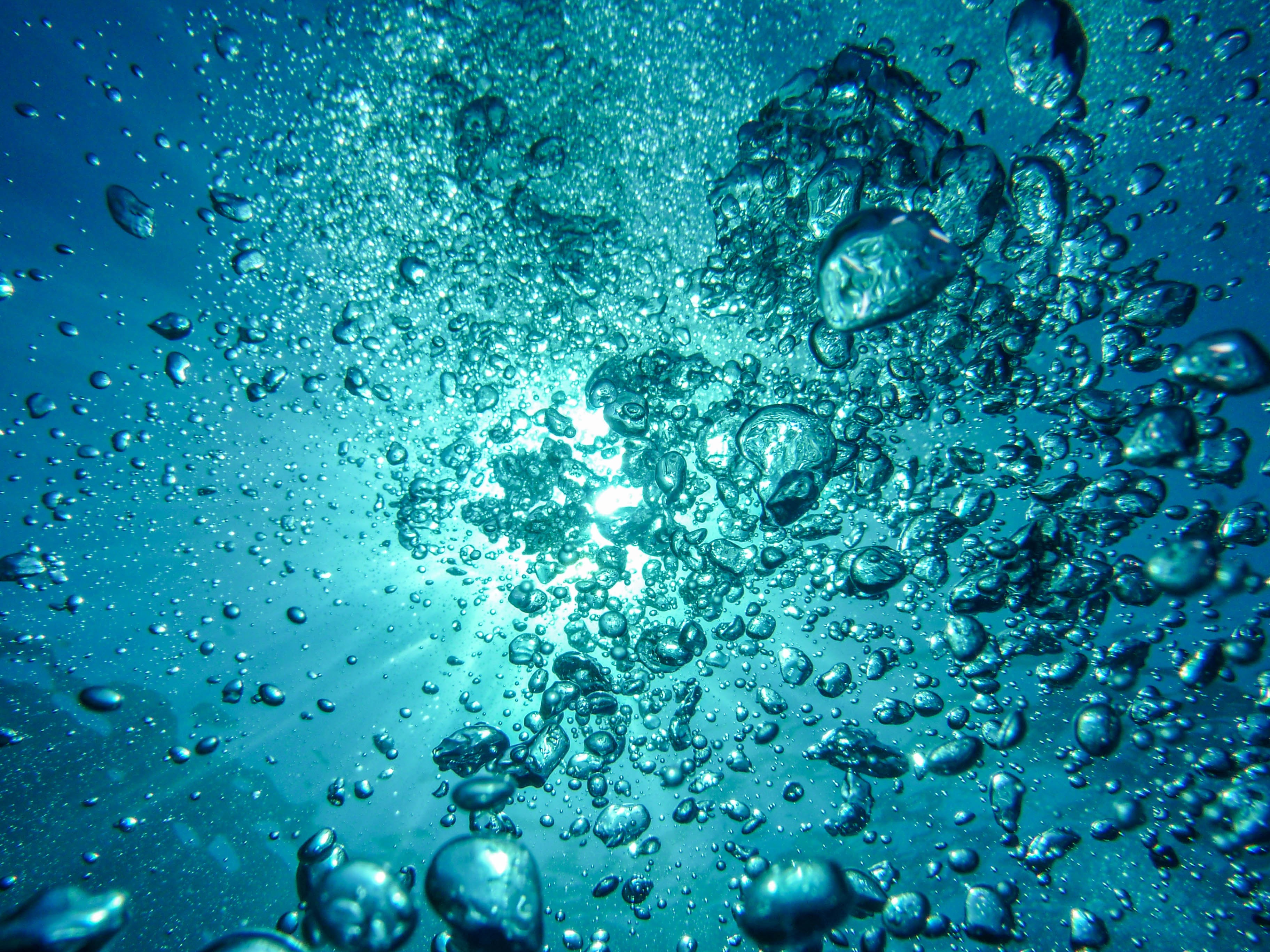 The Vitality of Healthy Water: Nurturing Our Bodies and the Environment