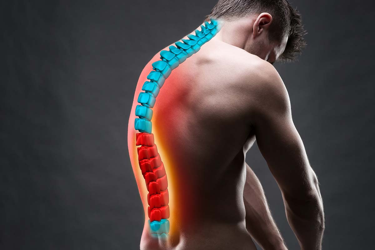 chiropractor in cave creek arizona chiropractor in cave creek arizona