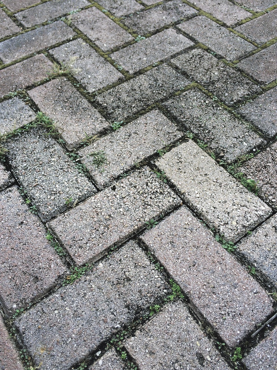 driveway driveway