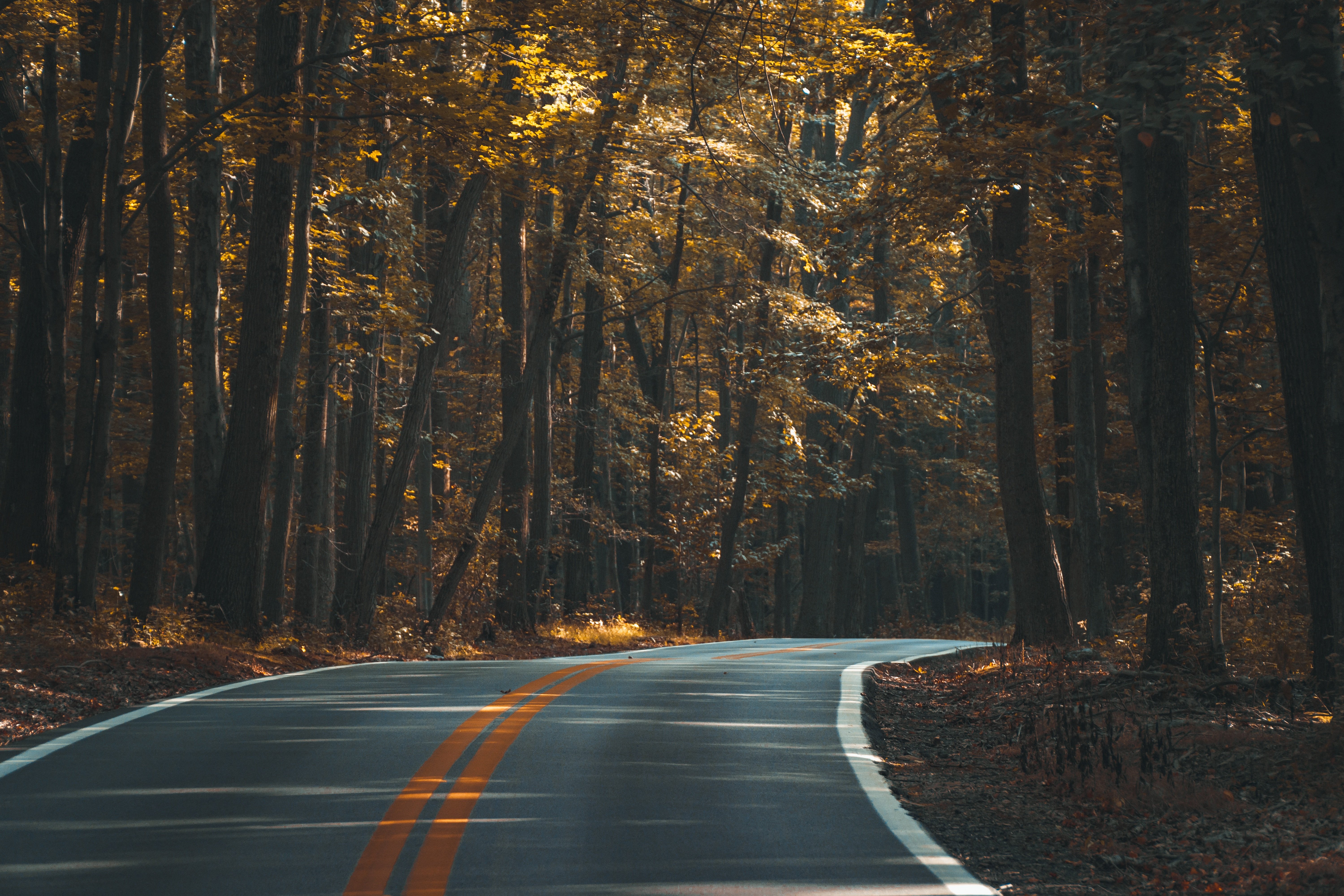 road