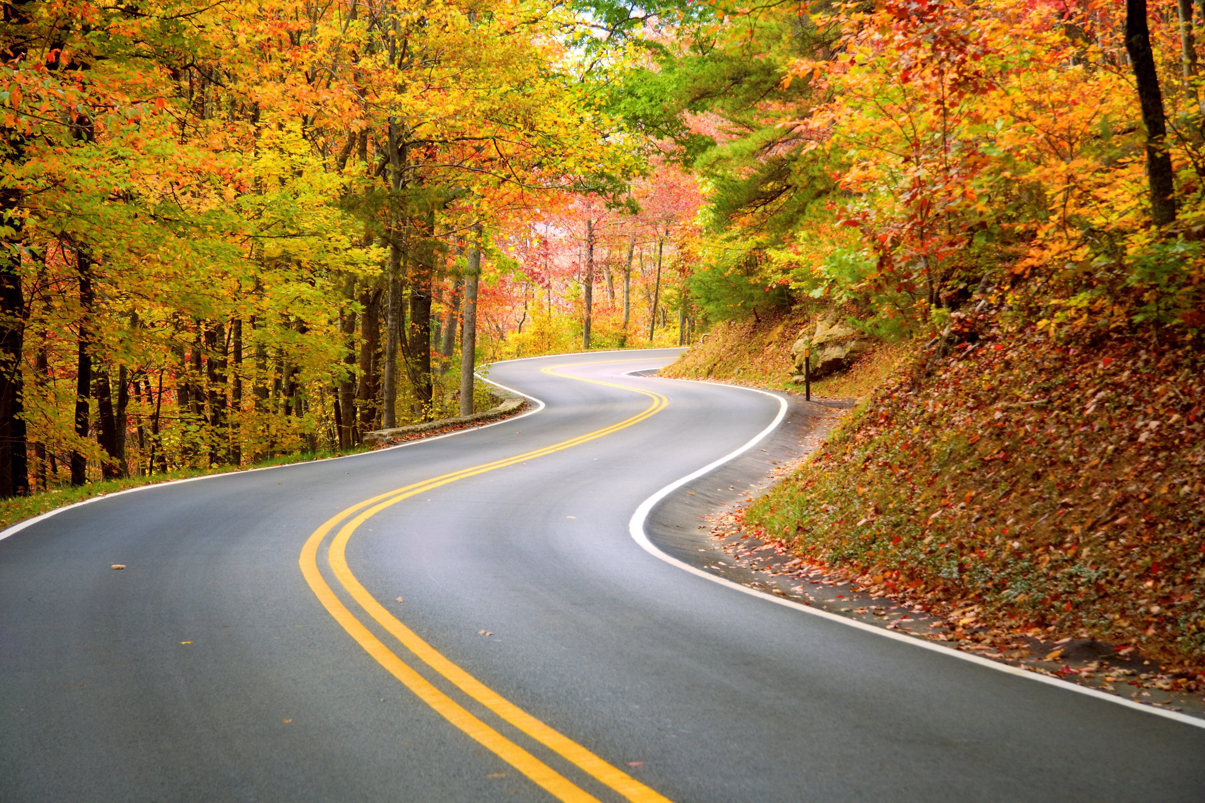 road