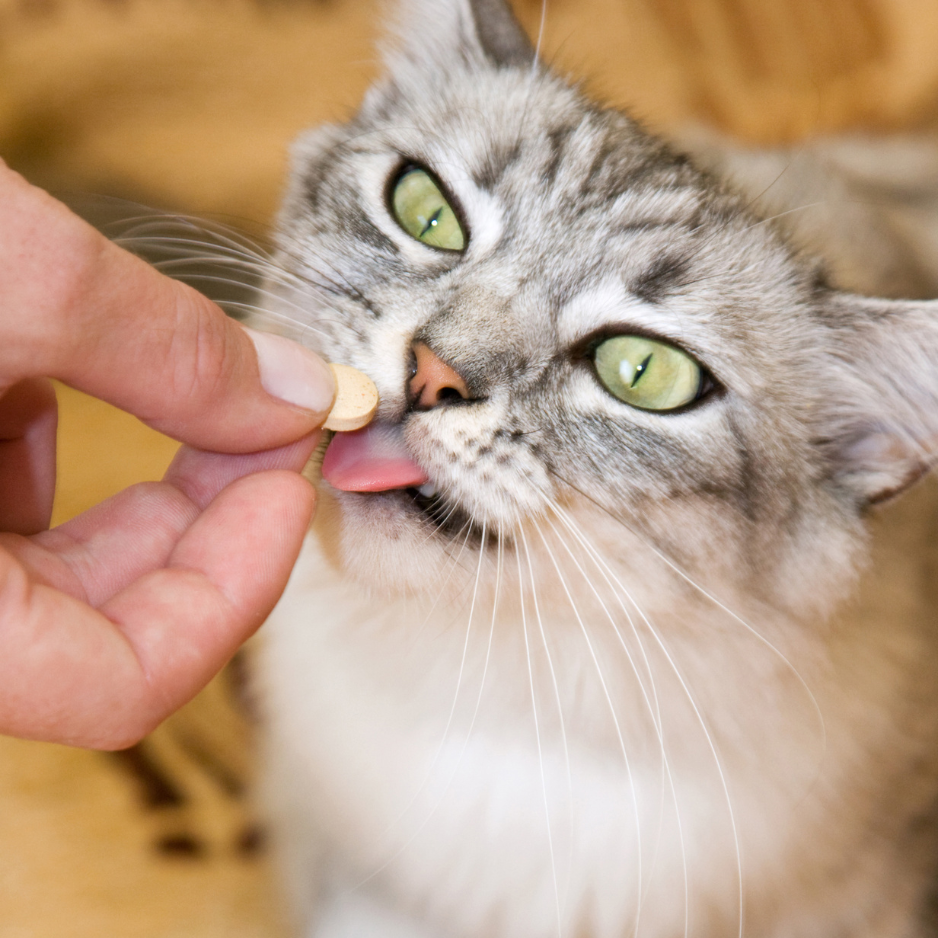 Step Three: Ditch the Drugs, Try These Natural Fixes Step Three: Ditch the Drugs, Try These Natural Fixes