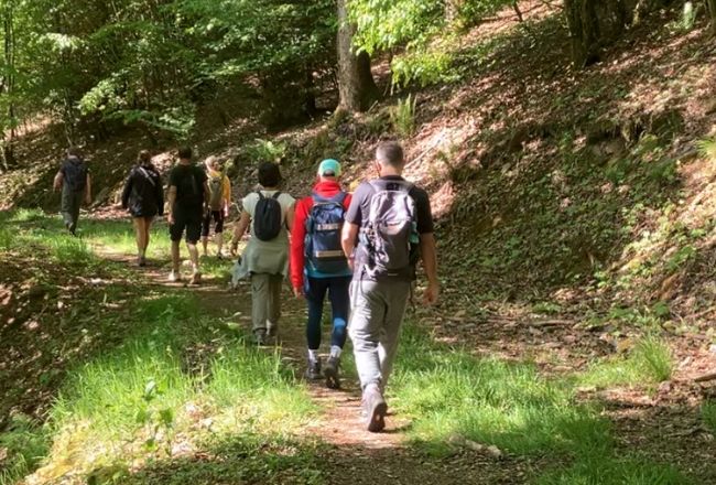 Groupe de participants en randonnée dans une forêt ardennaise lors d’un séjour de jeûne en Belgique — marcher en nature pour accompagner le processus de jeûne Groupe de participants en randonnée dans une forêt ardennaise lors d’un séjour de jeûne en Belgique — marcher en nature pour accompagner le processus de jeûne