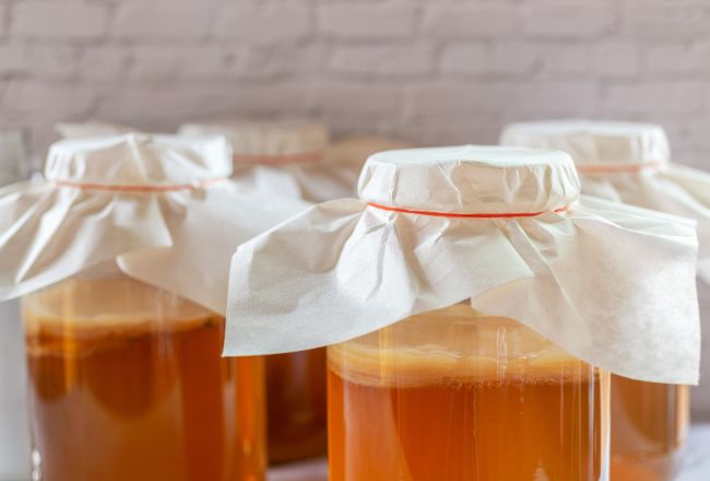 Culture symbiotique de bactéries et levures (scoby) essentielle à la fabrication du kombucha maison, garantissant la fermentation saine et efficac Culture symbiotique de bactéries et levures (scoby) essentielle à la fabrication du kombucha maison, garantissant la fermentation saine et efficac