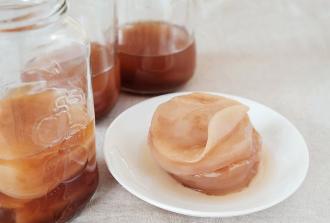 Processus naturel de fermentation du kombucha avec le scoby, qui transforme le thé sucré en boisson pétillante et riche en probiotiques Processus naturel de fermentation du kombucha avec le scoby, qui transforme le thé sucré en boisson pétillante et riche en probiotiques