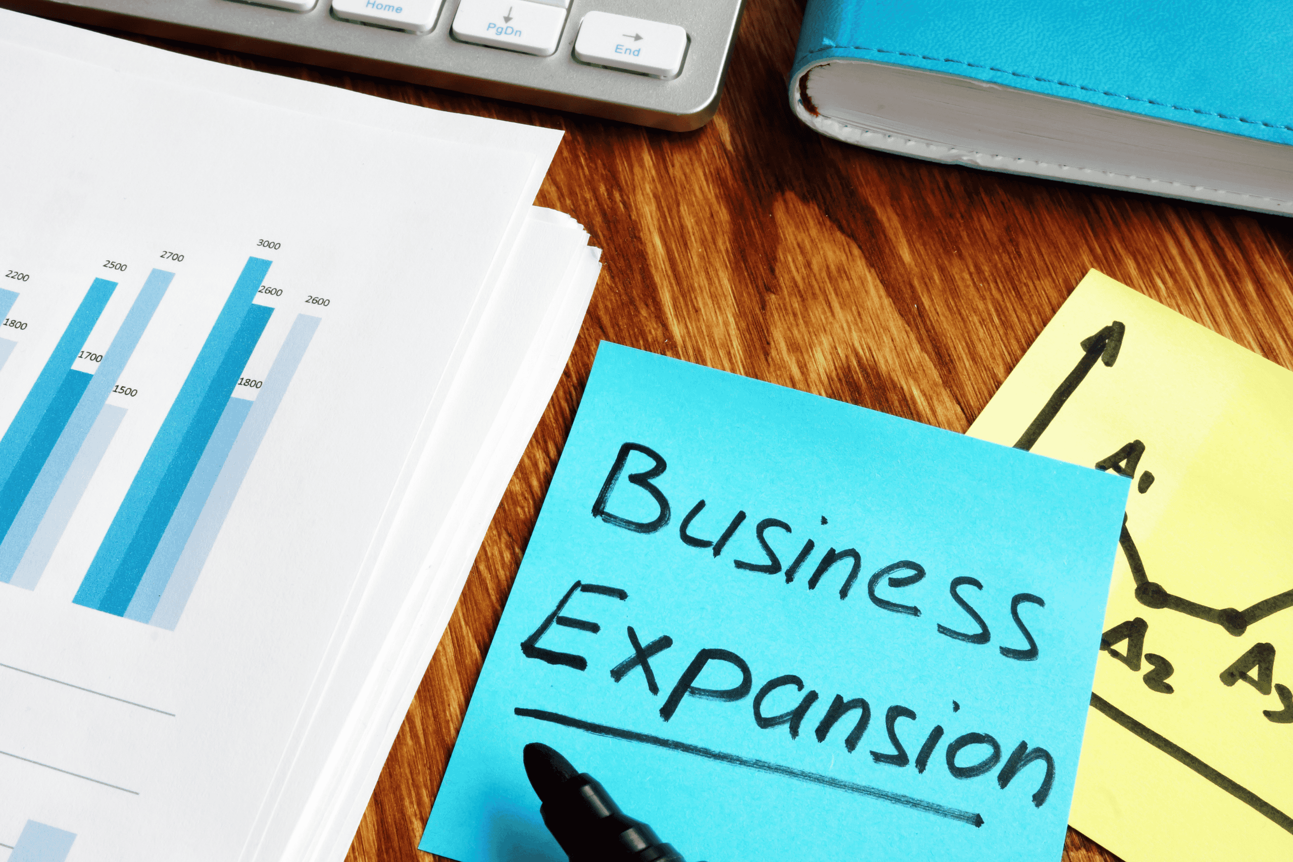 Business expansion opportunities Business expansion opportunities