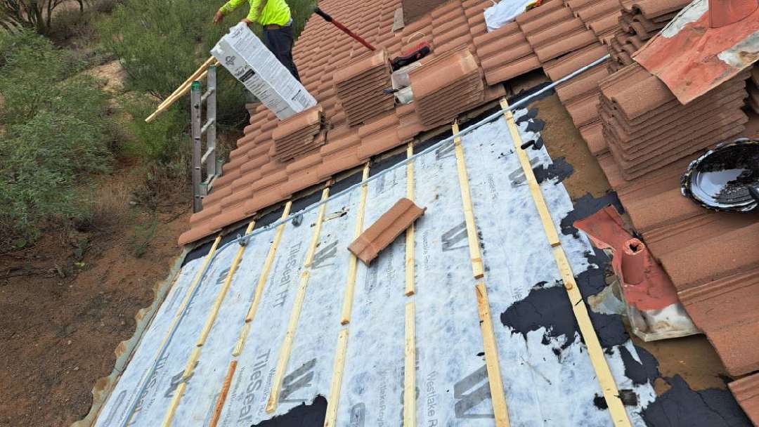 Modern Pool Design 4