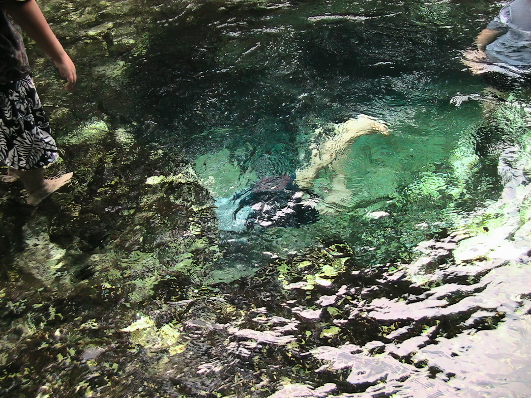 My son is starting to go through one of the "tubes" in the swimming hole. My son is starting to go through one of the "tubes" in the swimming hole.