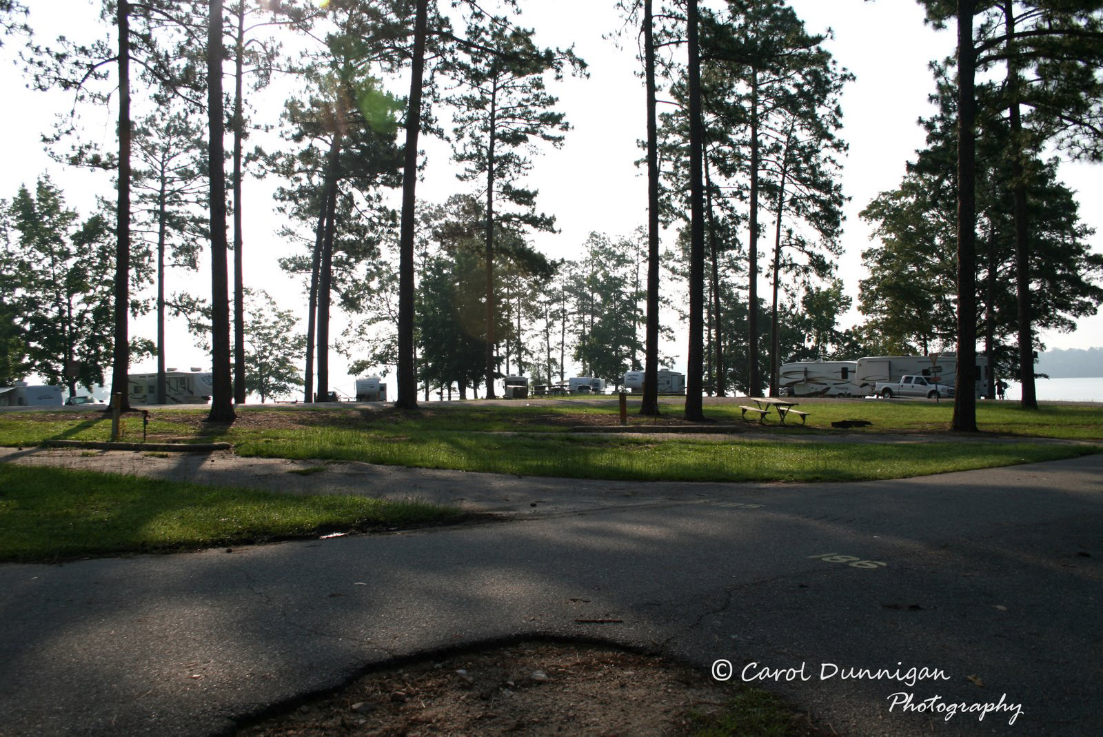 One last view of the grassy, tree covered area of the state park with campsites shown.
