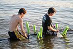 My sons are floating on a log that had fallen in the water. They're pretending it's a raft.