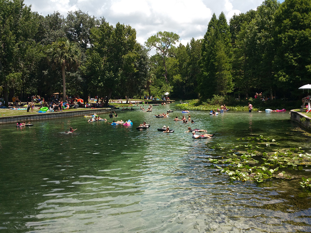 A wide view of the bottom of the springs, with a lot of people standing or swimming in the water. A wide view of the bottom of the springs, with a lot of people standing or swimming in the water.