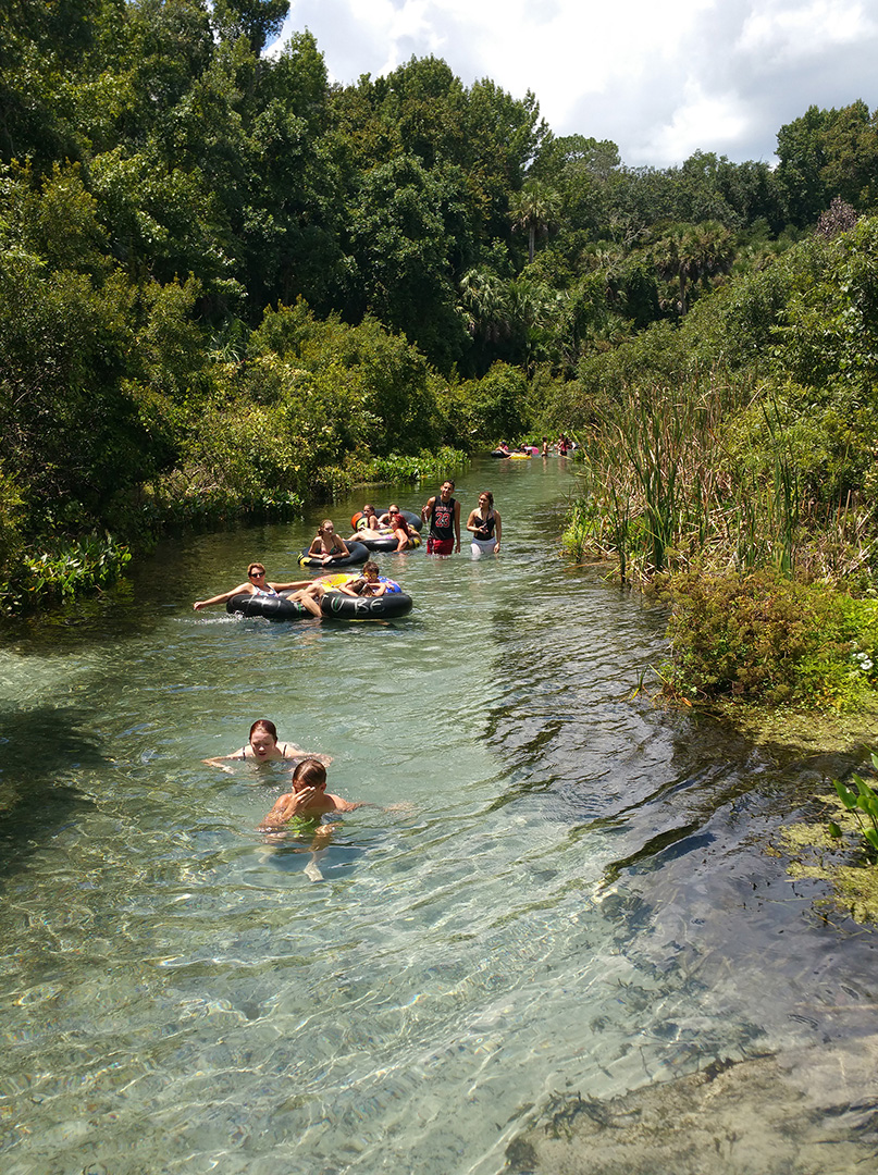 A view of the springs, with grass on either side, and people are walking or tubing down. A view of the springs, with grass on either side, and people are walking or tubing down.