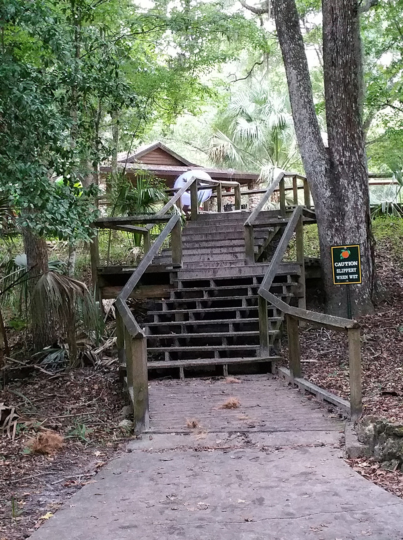 An image of the wooden staircase leading from the springs to the upper part of the park. An image of the wooden staircase leading from the springs to the upper part of the park.
