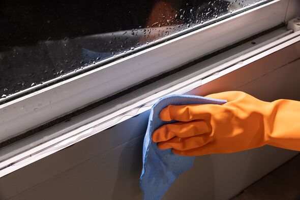 How to Clean Mould from Windows