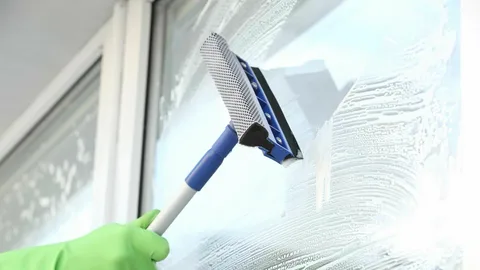 Best Window Cleaning Tips & Techniques from Winnipeg's Experts