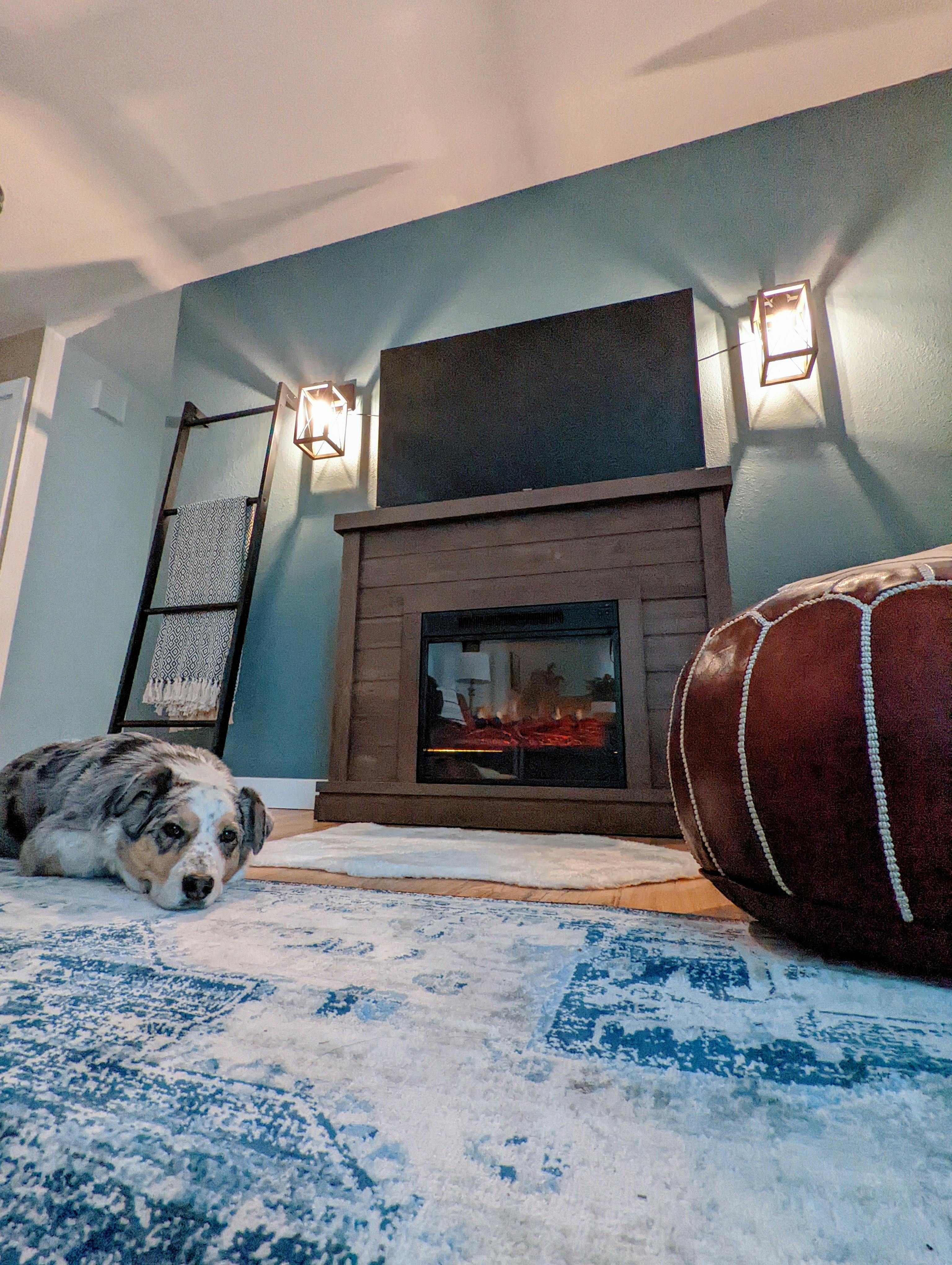 Airbnb Photo with Dog