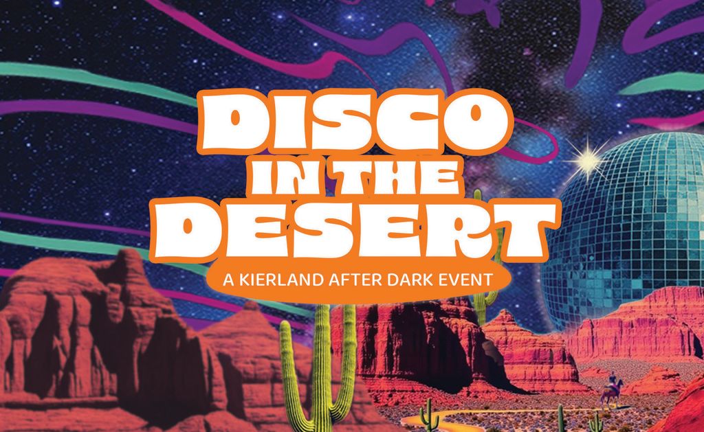 disco in the desert disco in the desert
