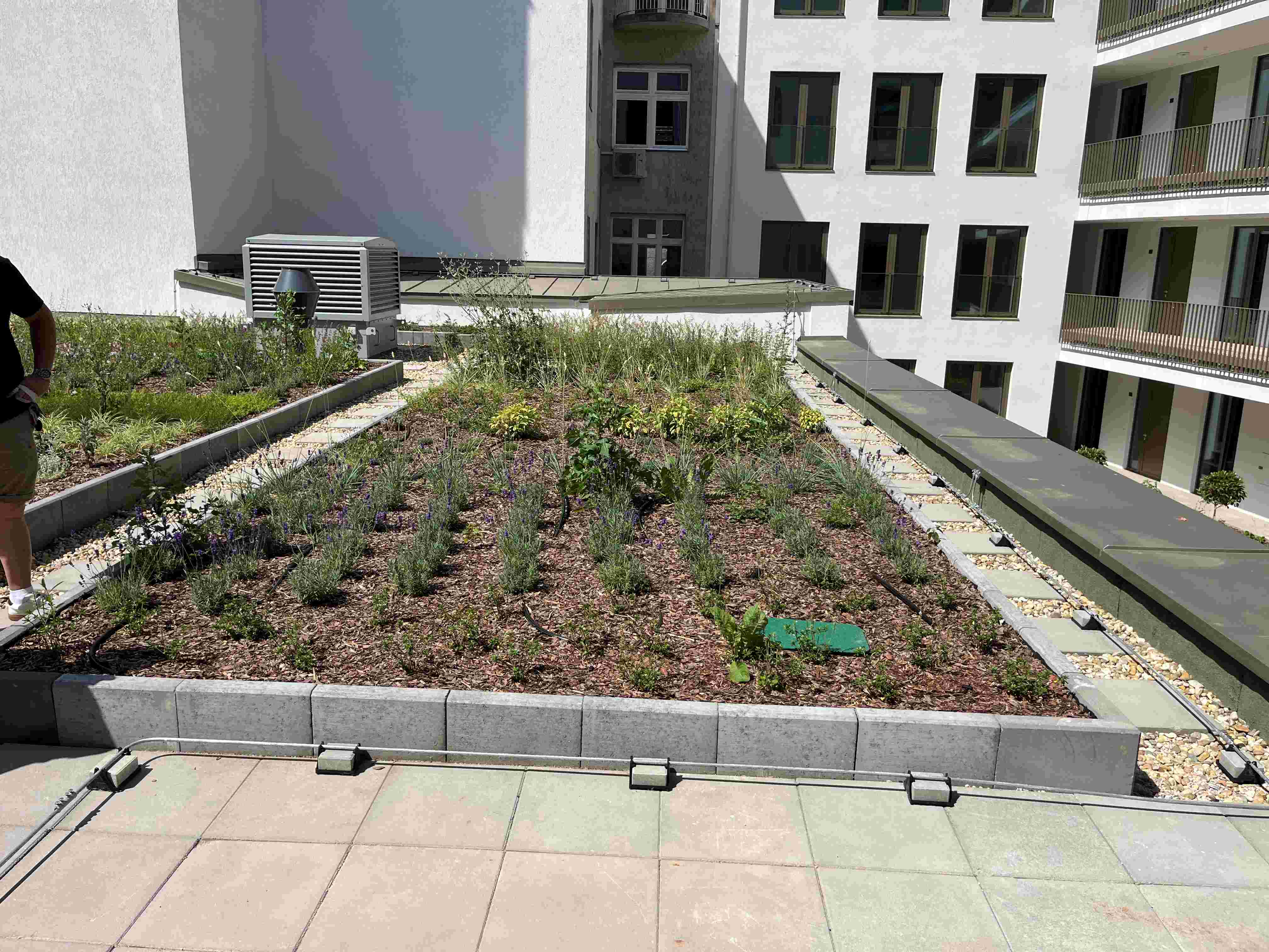 Zöldtetős épület madártávlatból.