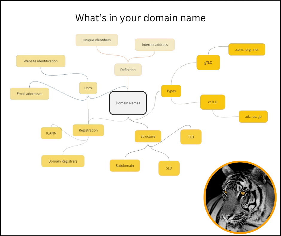 Chart showing all the elements of a domain name