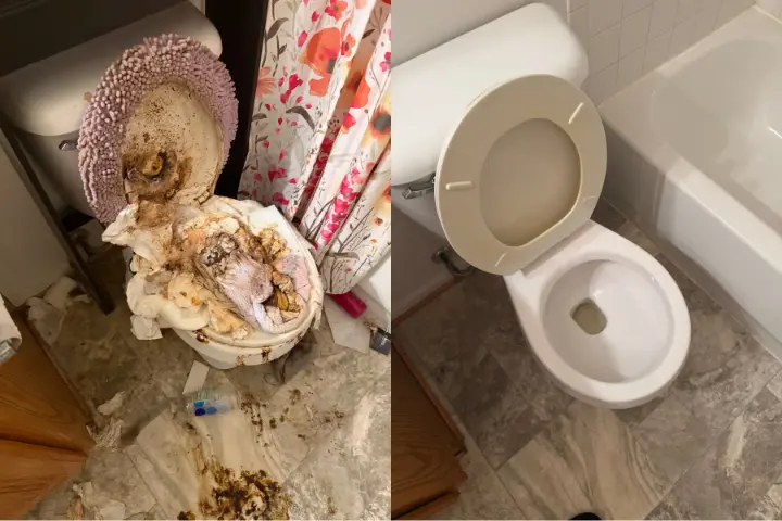 Urine and Feces Cleanup