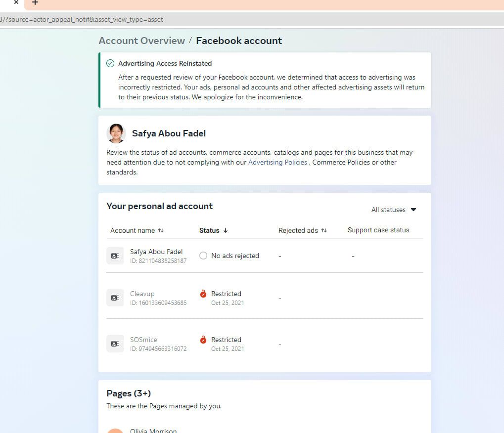 Issue and Result Example