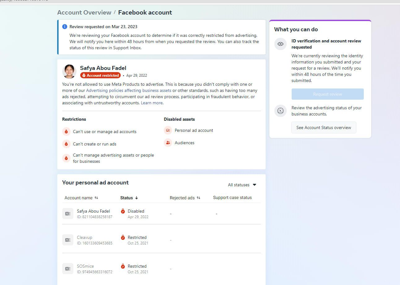 Issue and Result Example