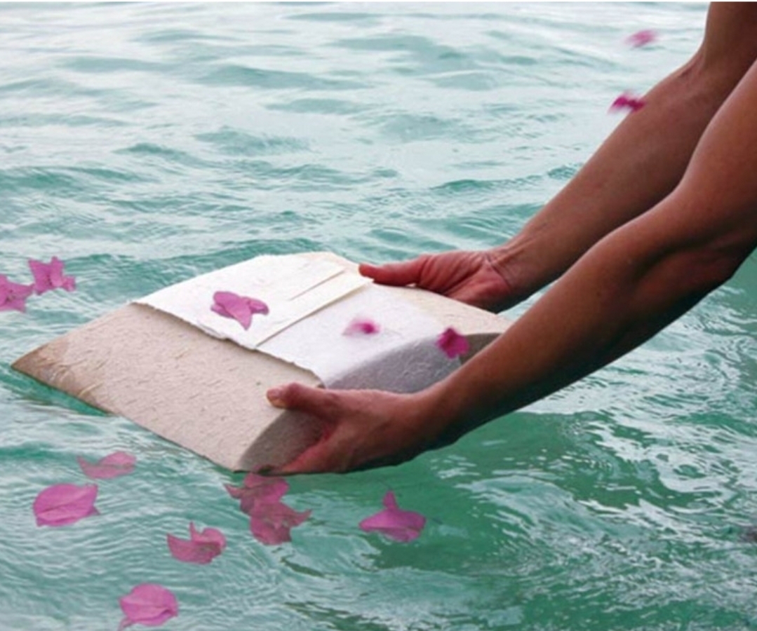 Create A Lasting Memory For Your Loved Ones: Ash Scattering Create A Lasting Memory For Your Loved Ones: Ash Scattering