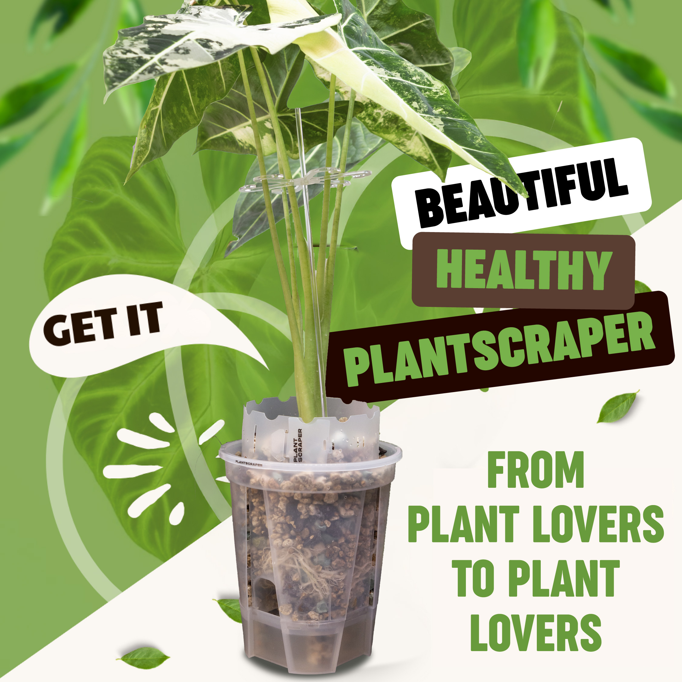 Creatività Plant Scraper - Plant Care