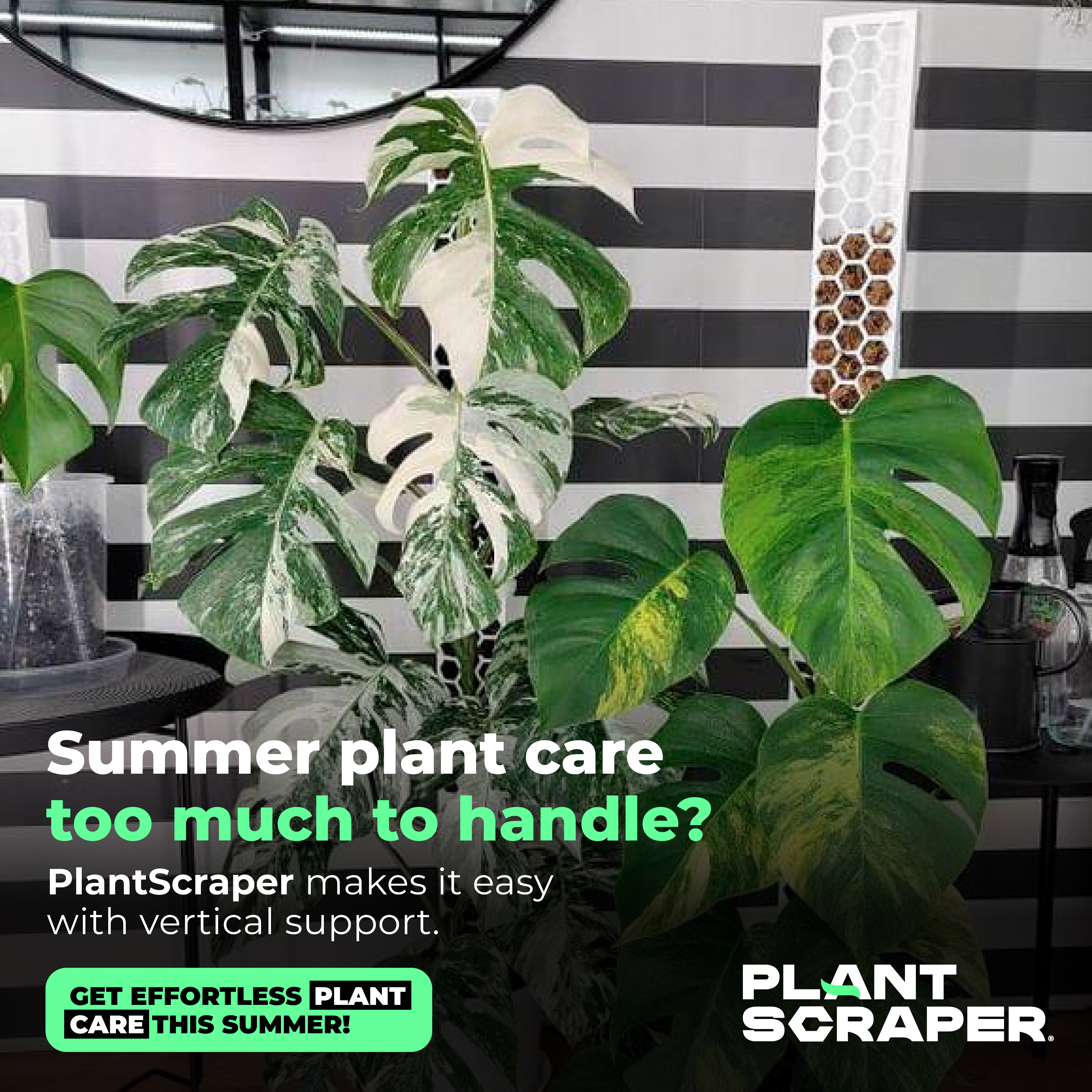 Creatività Plant Scraper - Substrati Premium