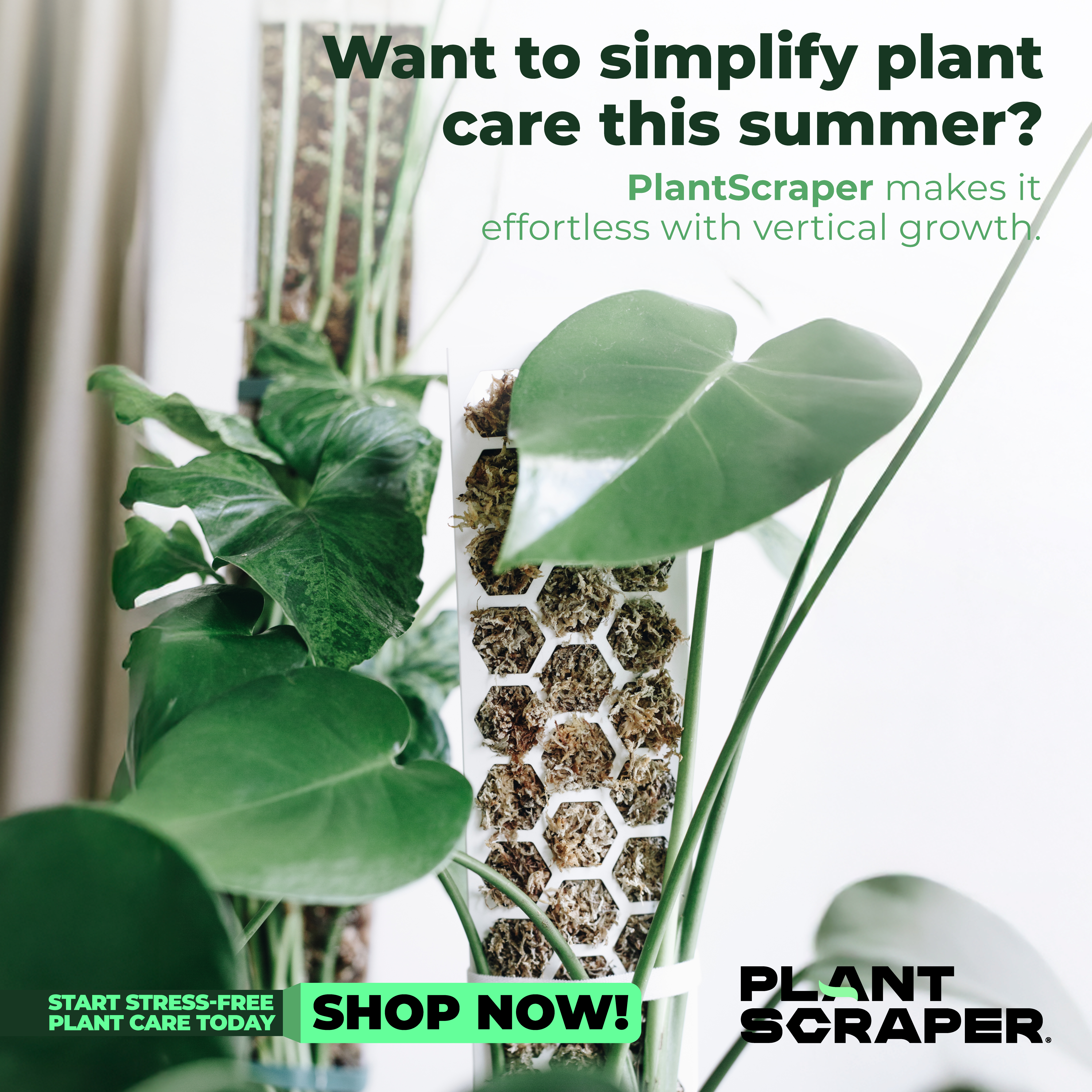 Creatività Plant Scraper - Community