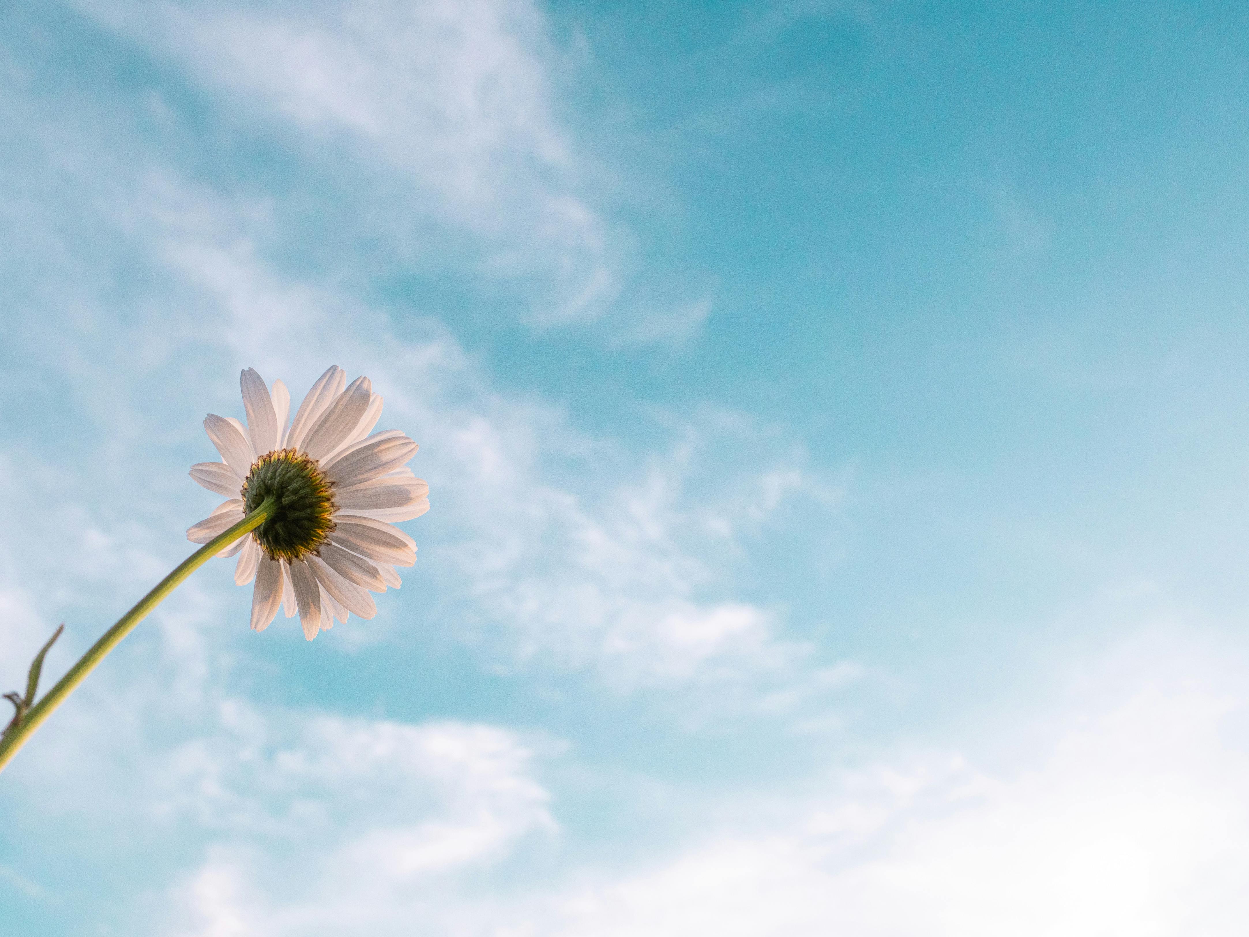 Why High-Achieving Women Secretly Resist Success Why High-Achieving Women Secretly Resist Success