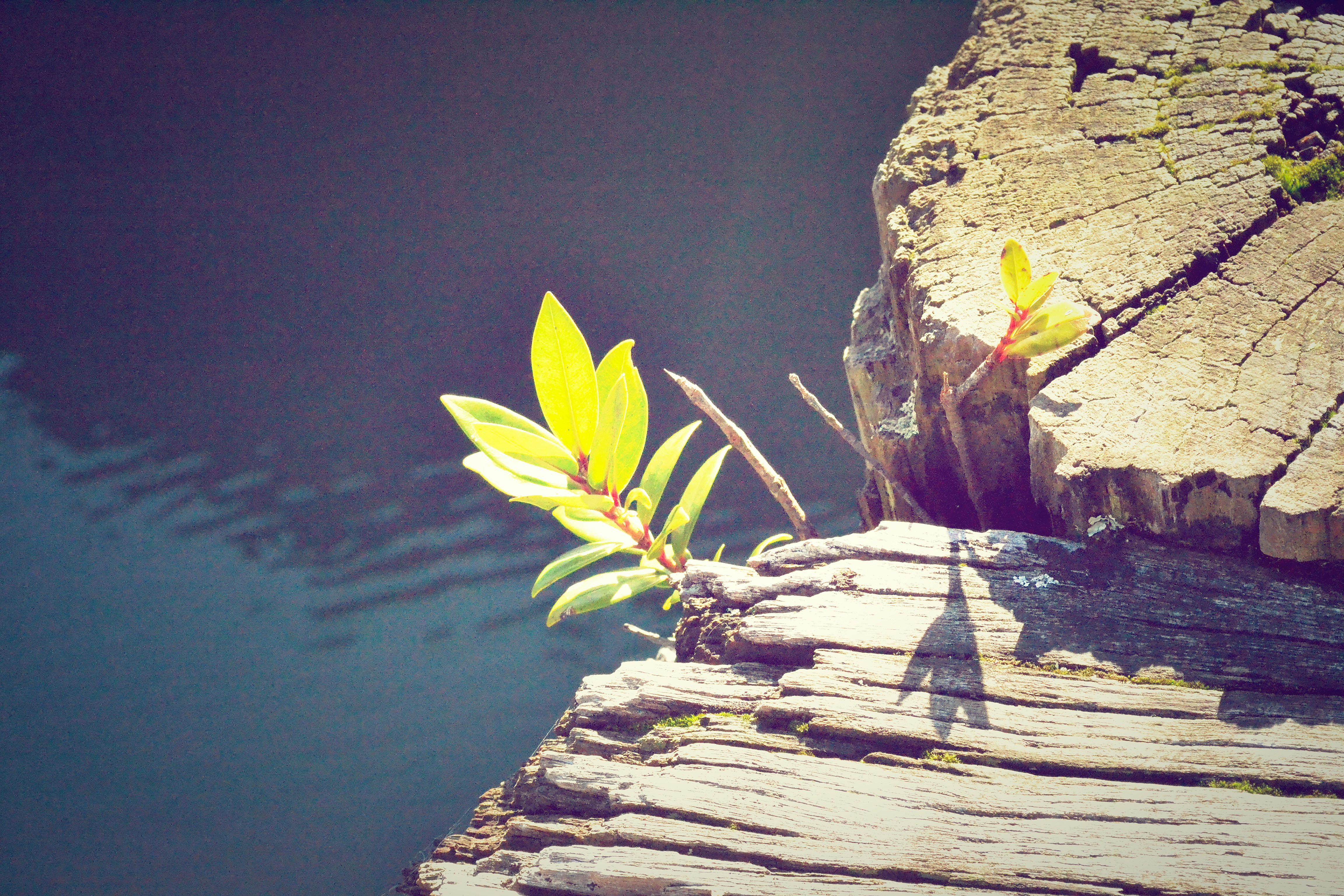 5_Signs_You’re_Ready_for_a_Mastermind_That_Transforms_Not_Just_Teaches